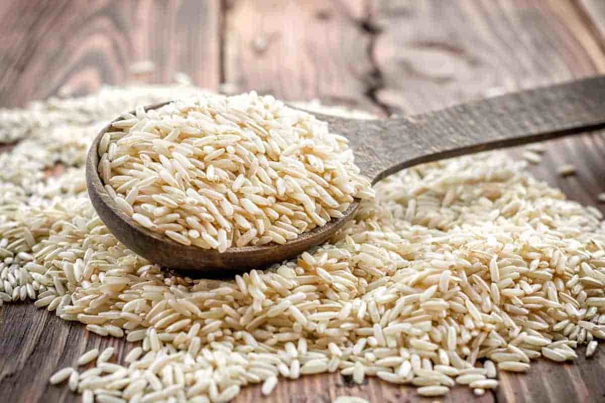 فروش برنج گیلان شالیزار + قیمت خرید به صرفه